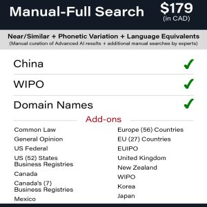 Manual-Full Search: China TM Searching